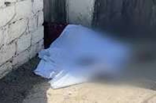 Sarayda qardaşı arvadını mülkə görə öldürdü, 17 il cəza aldı