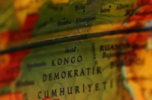 Konqo Demokratik Respublikasında yeni meymun növü aşkar edilib