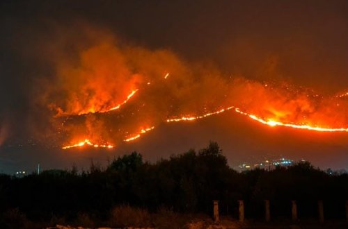 İtaliyanın Siciliya adası meşə yanğınları ilə mübarizə aparır