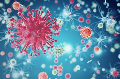 ÜST-dən həyəcan təbili: Bu virus yenidən tüğyan etməyə başladı