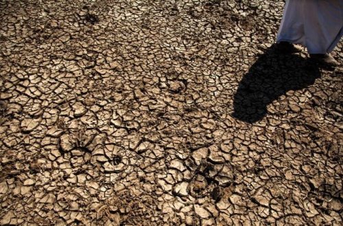 Anomal istilər Avropada quraqlığı şiddətləndirir