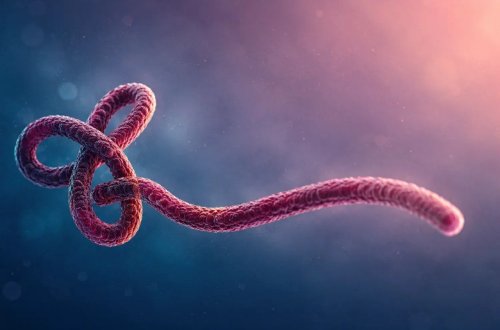 ÜST: Ebola virusu nəzarətdən çıxır