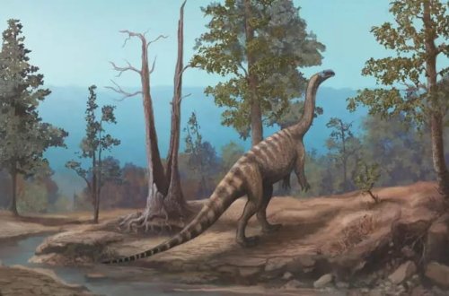 210 milyon il əvvələ aid yeni dinozavr növü aşkar edilib