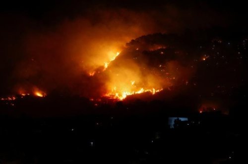 İtaliyada meşə yanğınları nəticəsində 70 000 hektar ərazi külə dönüb