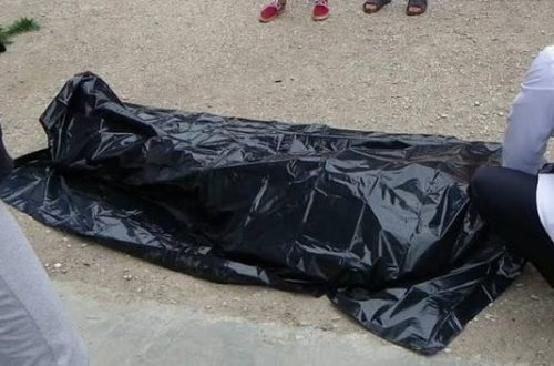 Lənkəranda meşədə iki nəfərin meyitinin aşkarlanması faktı üzrə cinayət işi başlanıb