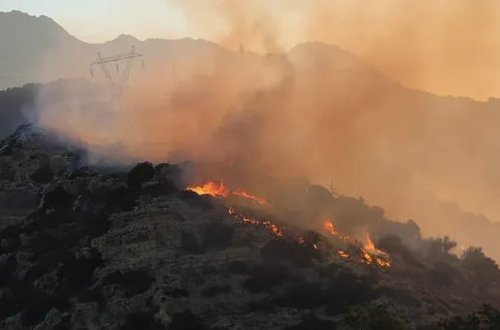 Yunanıstanda 6 yanğın törətməkdə şübhəli bilinən şəxs saxlanılıb