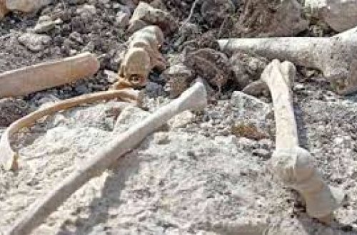 Şuşakənddə insan sümüyünə bənzər qalıqlar aşkarlanıb, araşdırma gedir