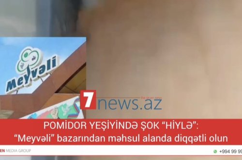 POMİDOR YEŞİYİNDƏ ŞOK “HİYLƏ”: “Meyvəli” bazarından məhsul alanda diqqətli olun (VİDEO)