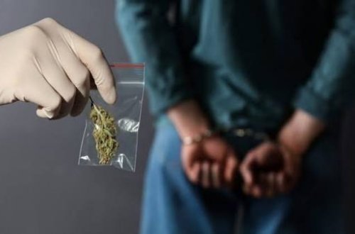 Narkotiklə bağlı cinayət törədənlərin sayi