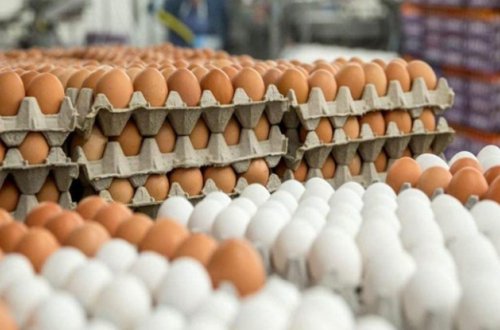 Salmonella epidemiyası: 8 ölkədə yumurtalar satışdan yığışdırılır