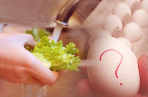 Belçikada salmonella bakteriyalı yumurtaları istehlak edən 300-dən çox insan xəstələnib