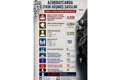 Birinci və İkinci Qarabağ müharibələrində itkin düşmüş şəxslərin sayı açıqlanıb