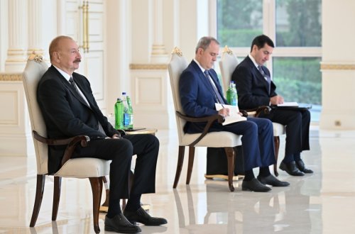 Prezident BMT-nin rezident əlaqələndiricisini qəbul etdi - FOTOLAR
