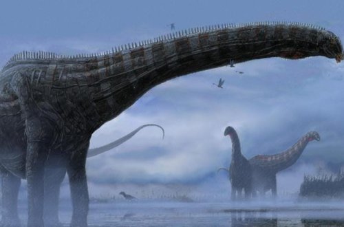 Afrikada 210 milyon il əvvələ aid yeni dinozavr növü aşkar edilib