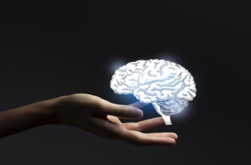Beyin implantı qitələrarası əmrlə idarə edilib