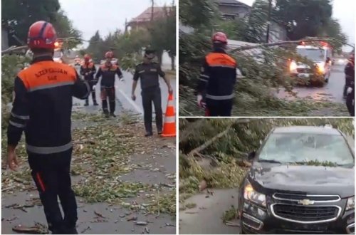 Güclü külək ağacı avtomobil üstünə aşırdı