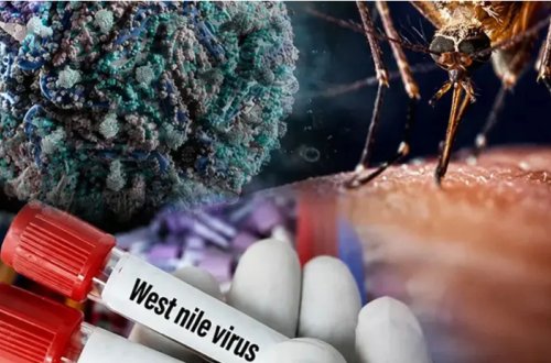 Yunanıstanda virus həyəcanı: Bir həftədə 34 yeni yoluxma