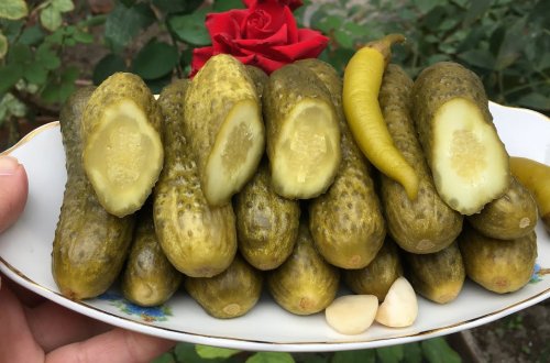 Xiyar turşusunun içindən milçək çıxdı: AQTA araşdırmaya başladı