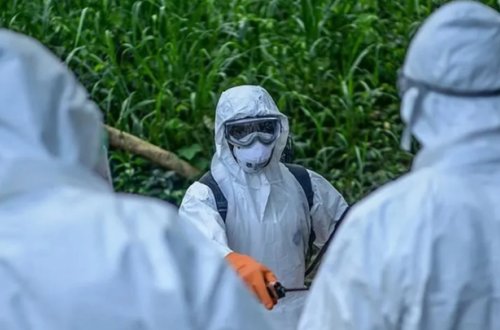 Konqoda Ebola həyəcanı: Yoluxanların sayı artdı