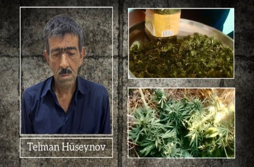 Ucarda narkotik tərkibli bitkilər yetişdirən şəxs saxlanılıb