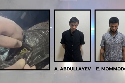 Göyçayda 3 kiloqramdan artıq narkotik vasitə aşkarlandı