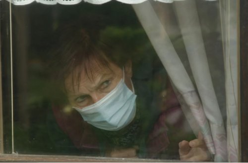 Hollandiyada Qərbi Nil virusu təhlükəsi: Ölənlərin sayı artdı