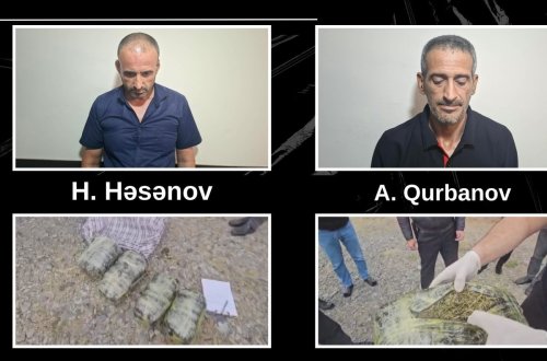 Qaxda 7 kq narkotik aşkarlanıb