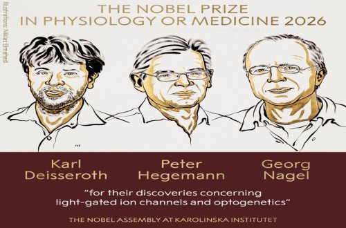 Tibb üzrə Nobel mükafatı laureatları məlum olub