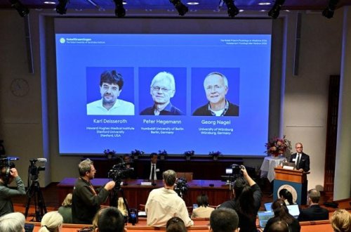 2026-cı il Tibb üzrə Nobel Mükafatı təqdim edildi