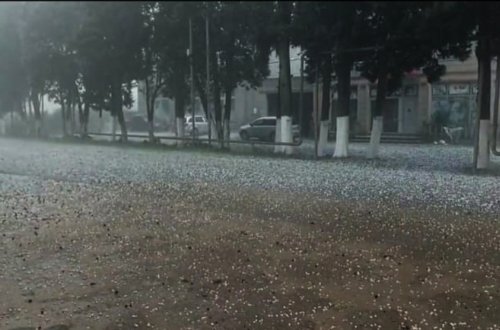 Lənkəranın 5 kəndinə dolu düşdü