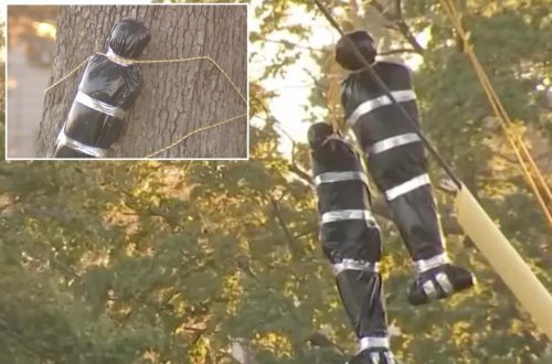 Evindən asdığı fiqurlar rəsmi qurumları hərəkətə keçirdi